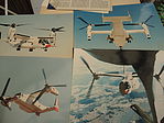 Member Gallery