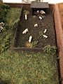Yorkshire Pigs