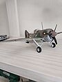 Brewster B-339 Buffalo Pacific Theater Fighter