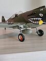P-40B Tiger Shark Fighter Plane