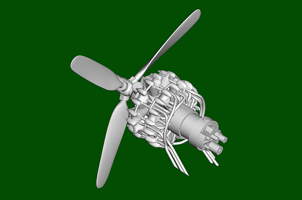 Member Picture
