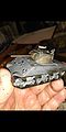 Sherman M4A2 75mm Tank (2)
