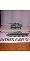 Panther Ausf G Tank (2)