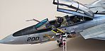 Tamiya Grumman F-14A Tomcat Plastic Model Military Vehicle Kit 1/48 ...