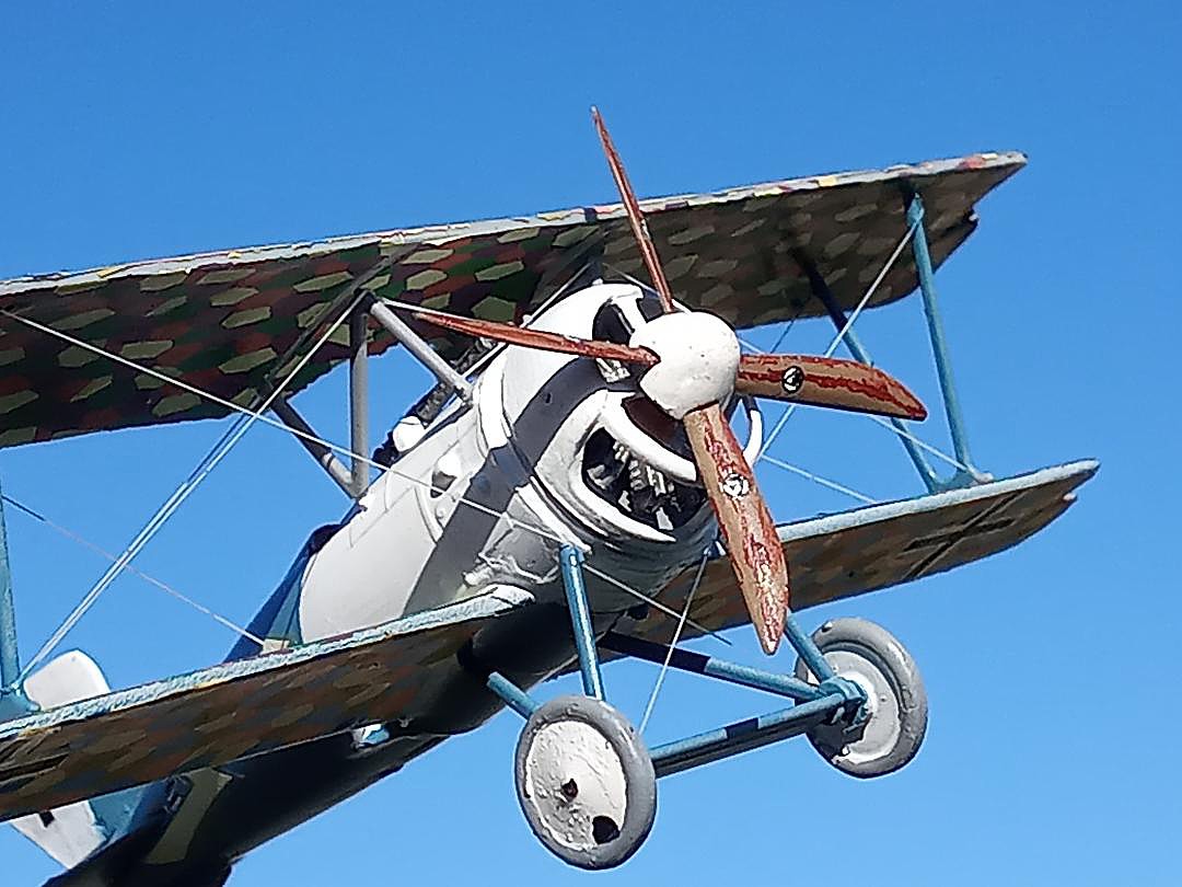 Gallery Pictures Roden SiemensSchuckert D.III Plastic Model Airplane