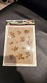 Grassland Mat (Earth Base w/Grassy Tufts) Wild