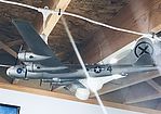 Member Gallery