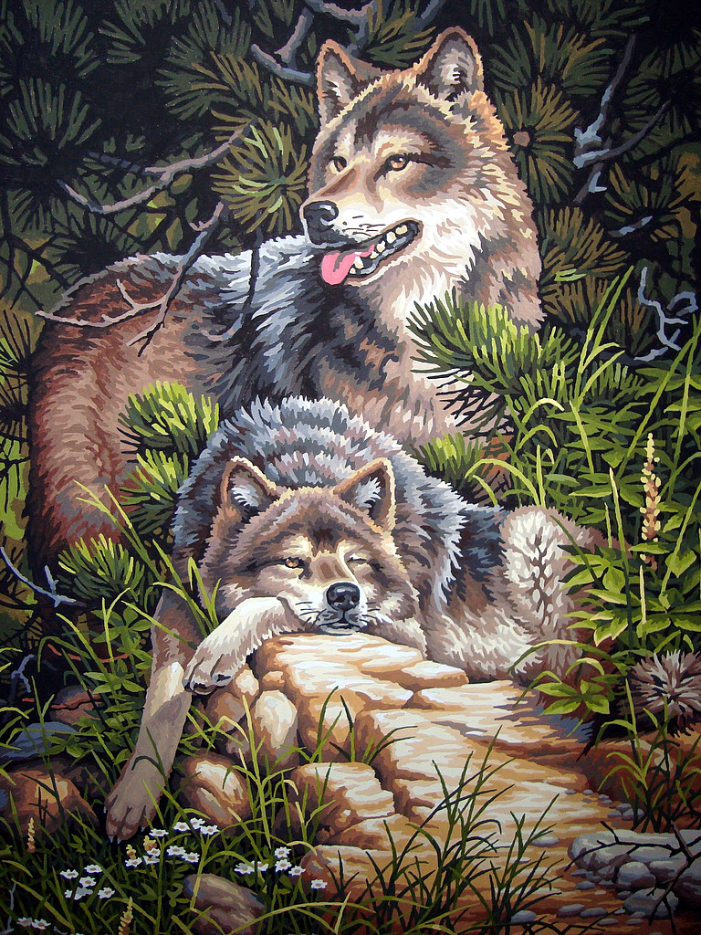 Wild & Free Wolves Paint By Number Kit 91416 pictures by bpaulich