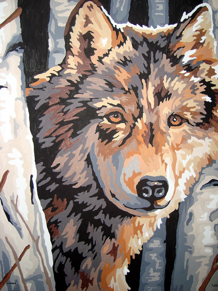 Wolf among Birches Paint By Number Kit 91325 pictures by bpaulich