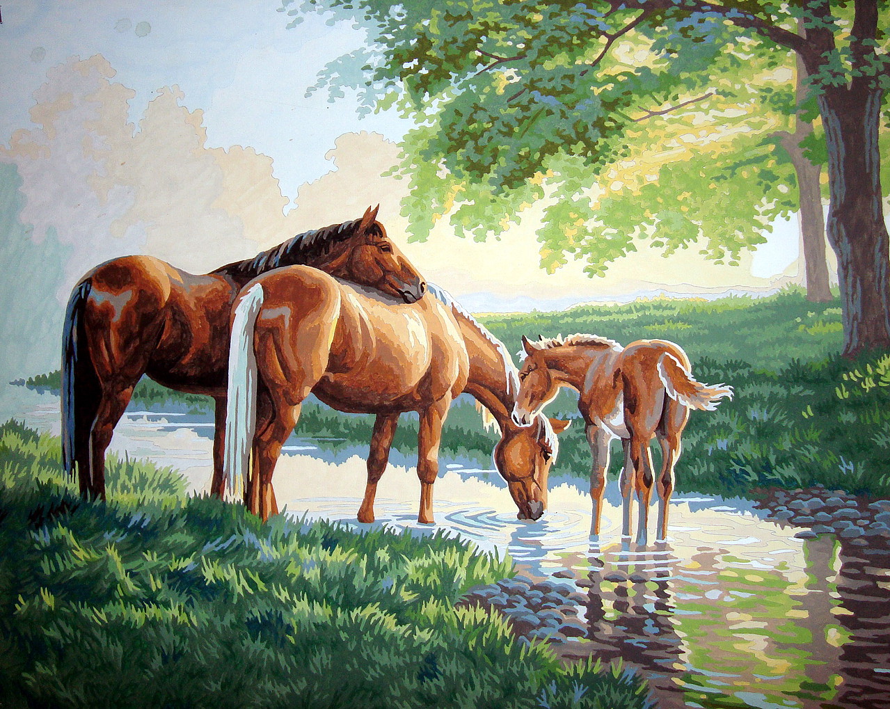 Gallery Pictures Dimensions Horses by a Stream Paint By Number Kit #91159