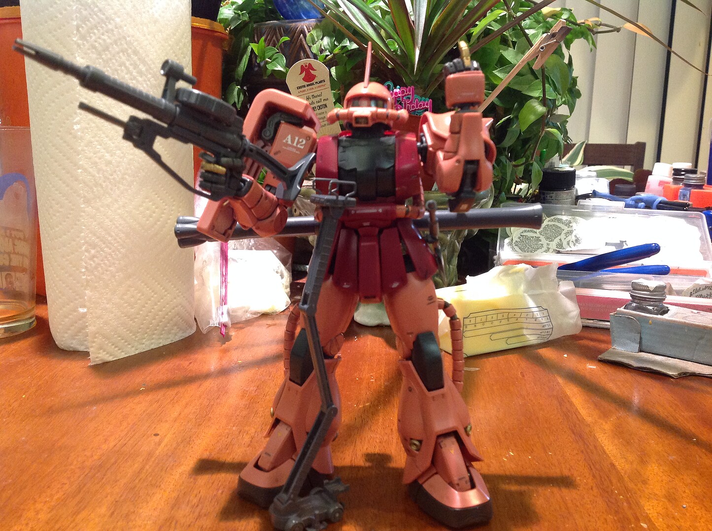 Member Picture