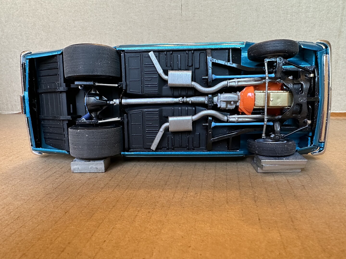 Member Picture