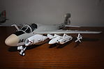 EA-6A Wild Weasel