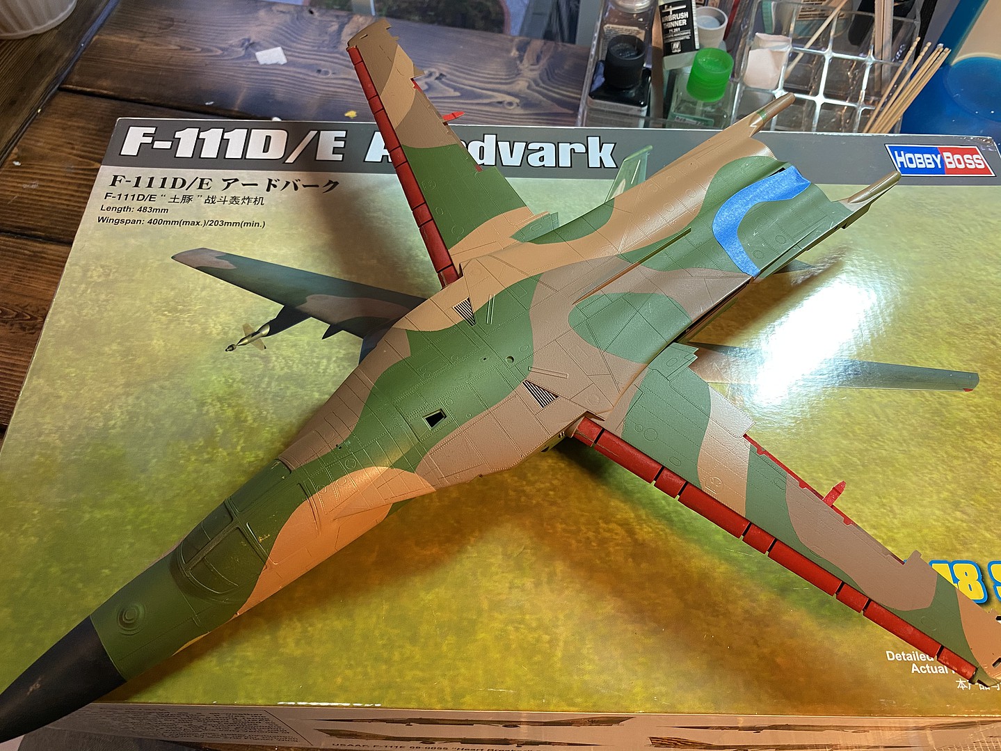 F11D/E Aardvark Plastic Model Airplane Kit 1/48 Scale 80350