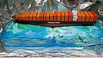 Container Ship 'Colombo Express'