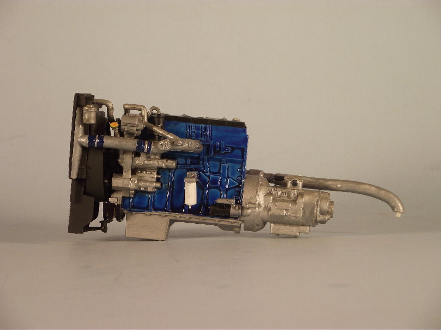 Member Picture