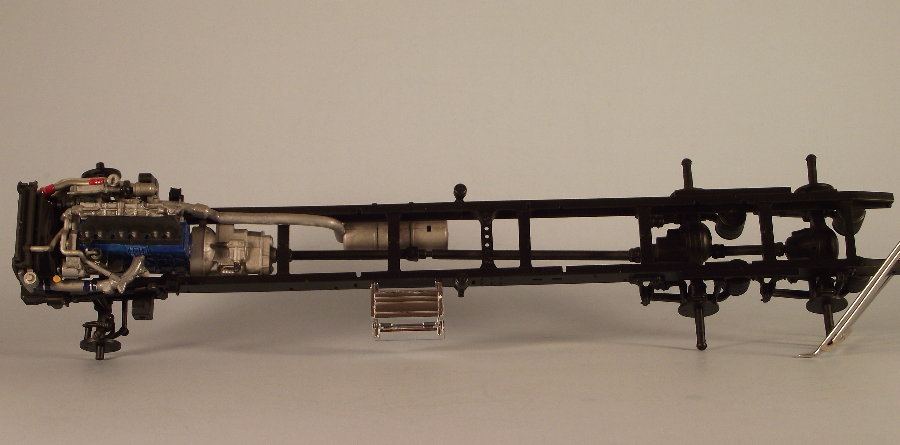 Member Picture