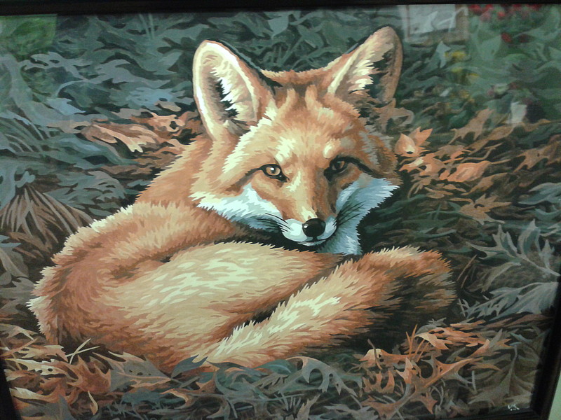 Gallery Pictures Dimensions Sunlit Fox Paint By Number Kit #91380