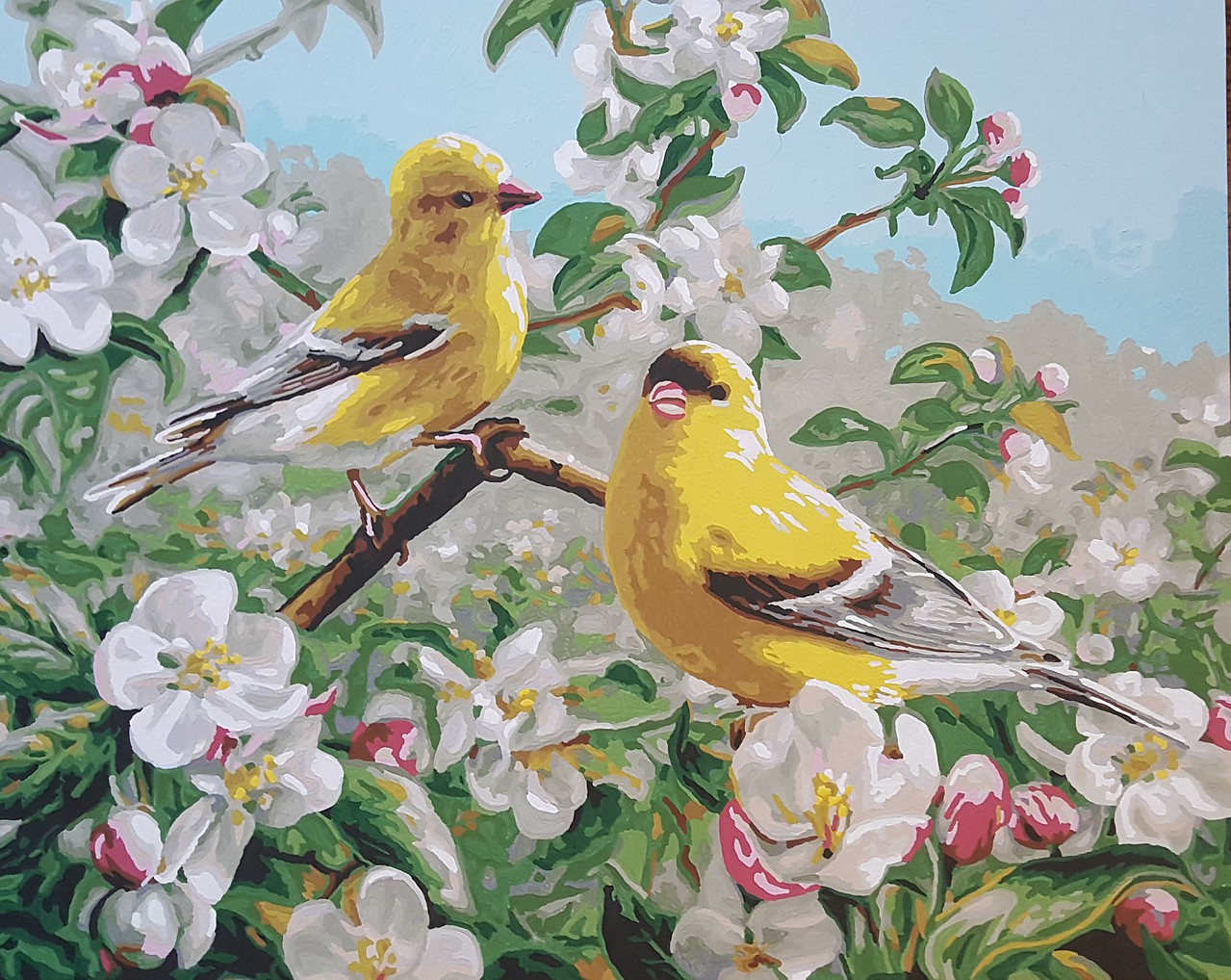 Gallery Pictures Plaid Goldfinches (16''x20'') Paint By Number Kit #21680