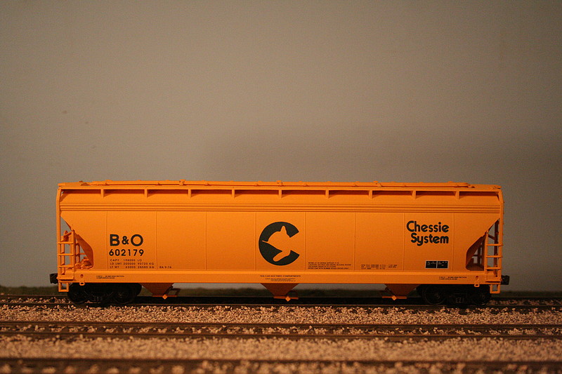 Member Picture