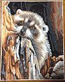Daydreaming Raccoon