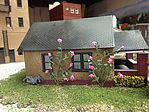 Climbing Roses (6)