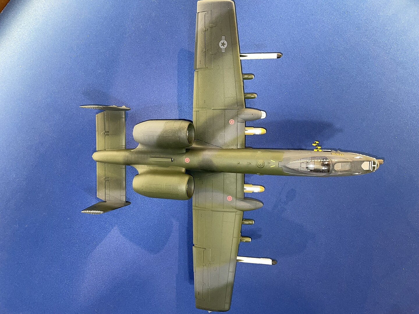 Member Picture