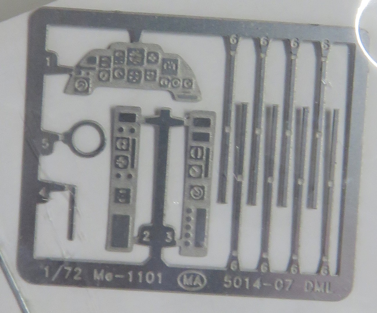 Member Picture