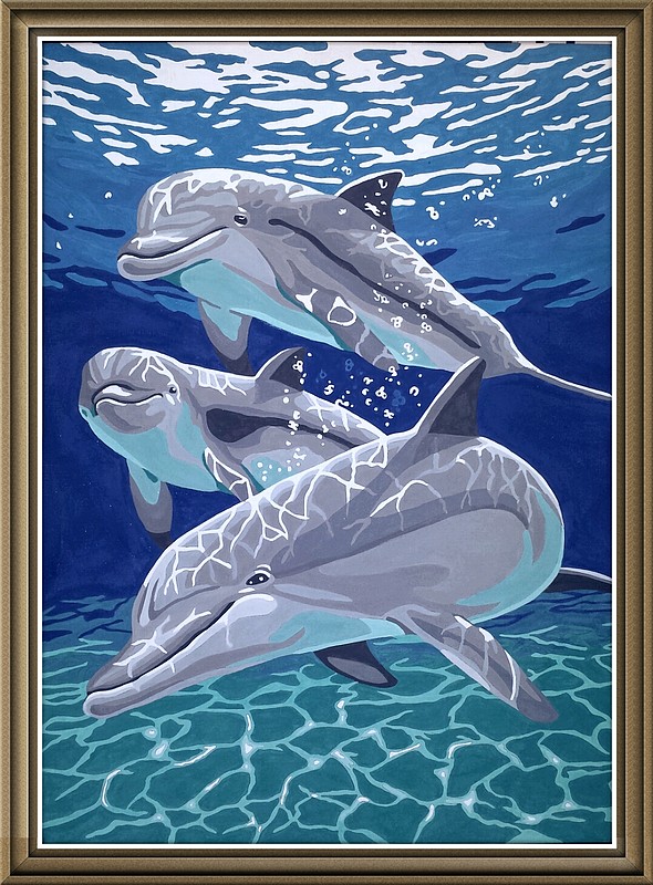 Gallery Pictures Dimensions Sunlit Pals (Dolphins) Paint By Number Kit ...