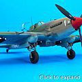 Ilyushin IL-2 Shturmovik Attack