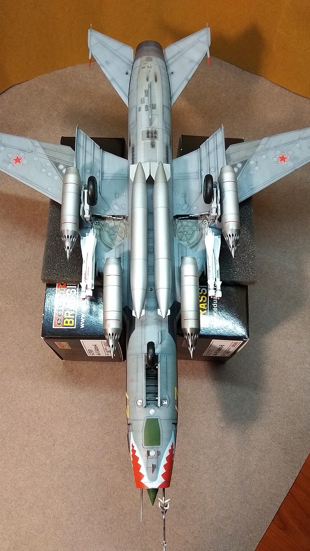 SU-17M4 Fitter -- Plastic Model Airplane Kit -- 1/48 Scale -- #81758 ...
