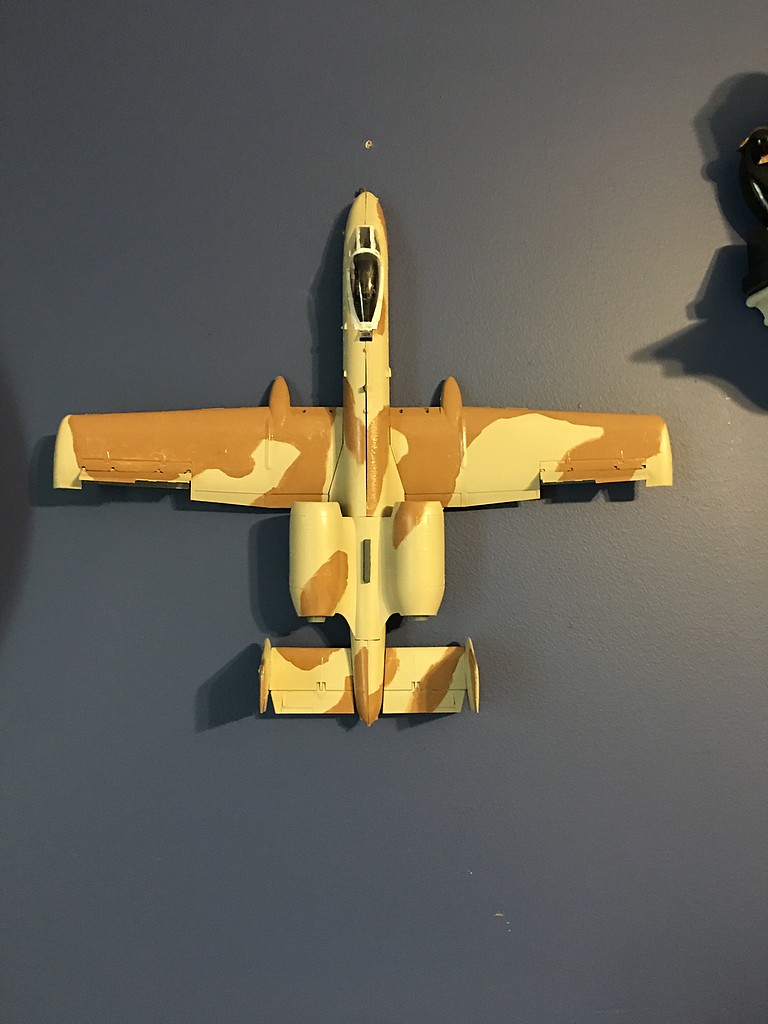 Member Picture